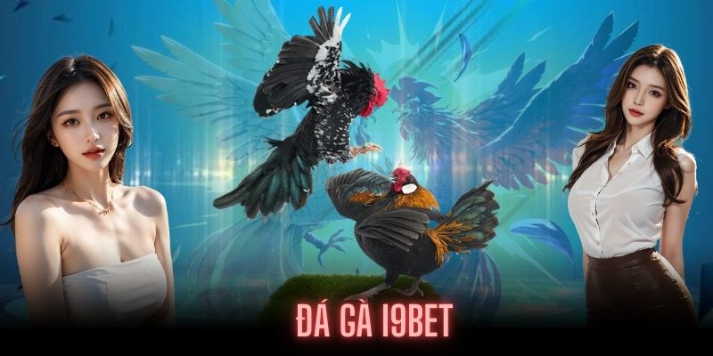 Khái niệm về Đá Gà tại I9BET