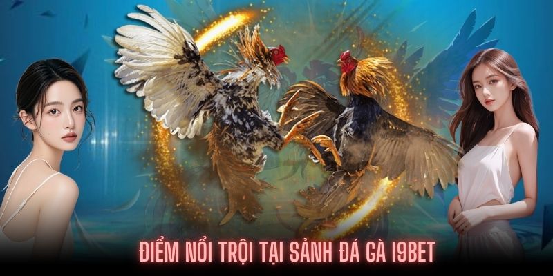 Ưu điểm nổi bật mà Đá gà tại I9BET đang sở hữu